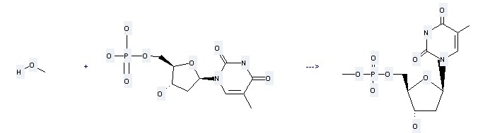 The [5']thymidylic acid monomethyl ester could be obtained by the reactants of 5'-Thymidylic acid and methanol. 